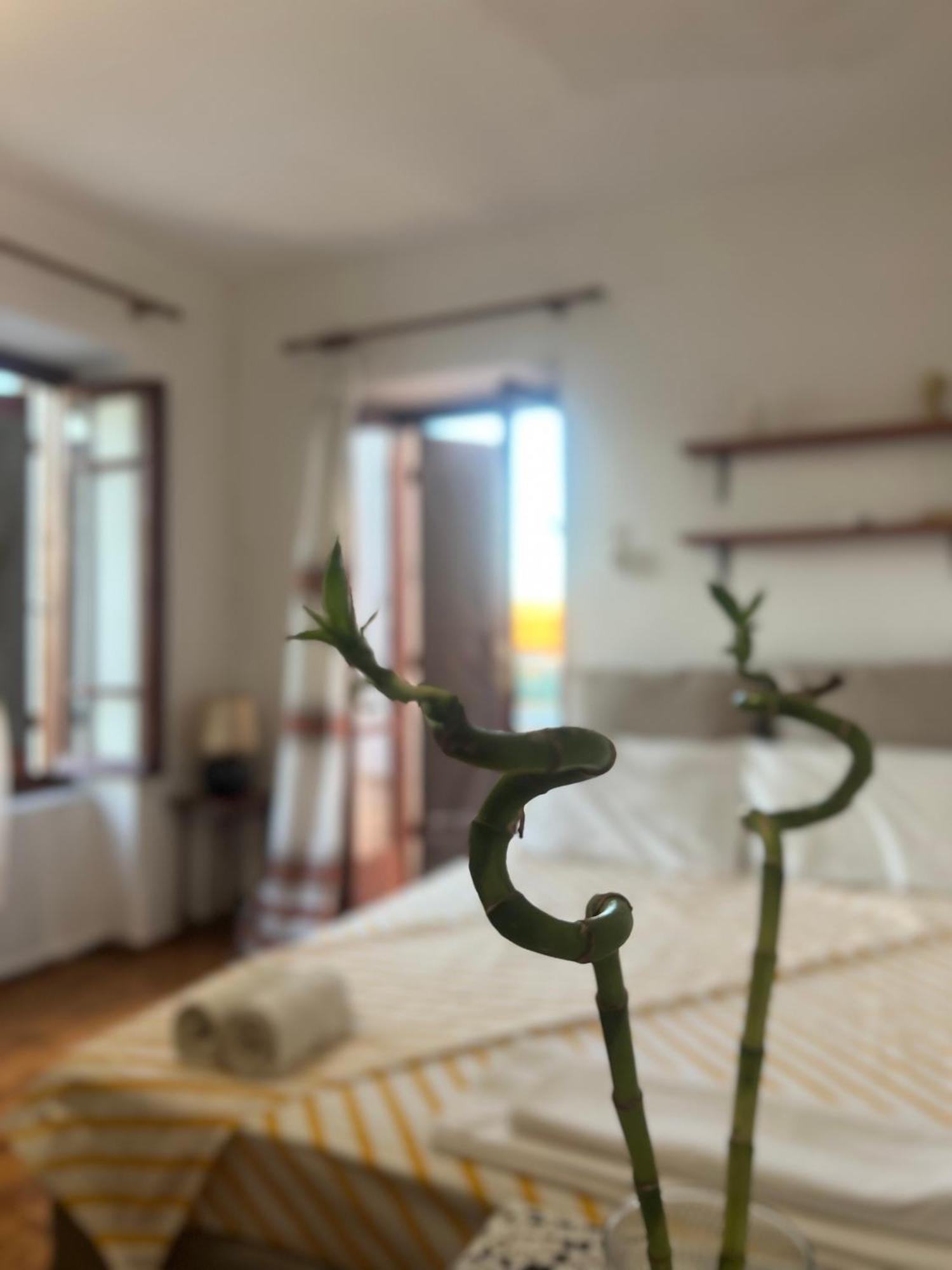 Village House Petalou 외부 사진